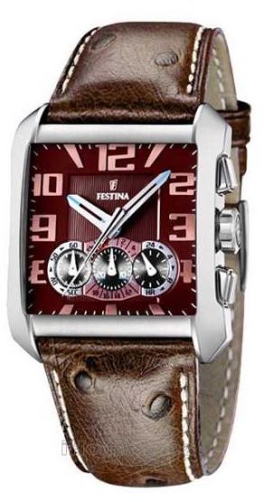 Pánske hodinky FESTINA 16294/7
