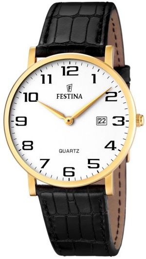 Pánske hodinky FESTINA 16478/1