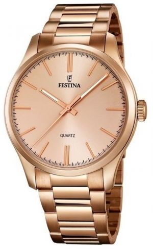 Pánske hodinky FESTINA 16809/1