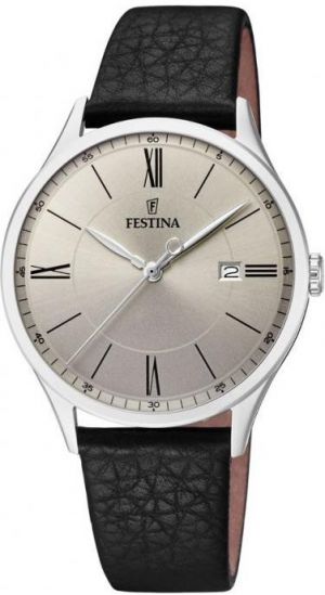 Pánske hodinky FESTINA 16978/2