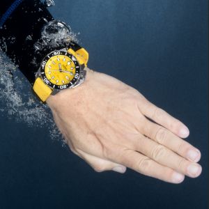 FESTINA 20043/1