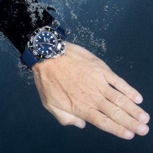 FESTINA 20043/2