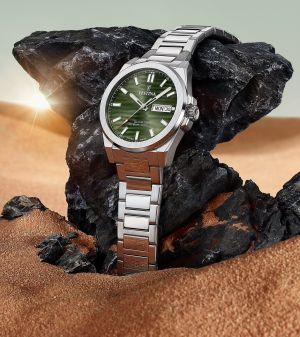FESTINA 20073/4