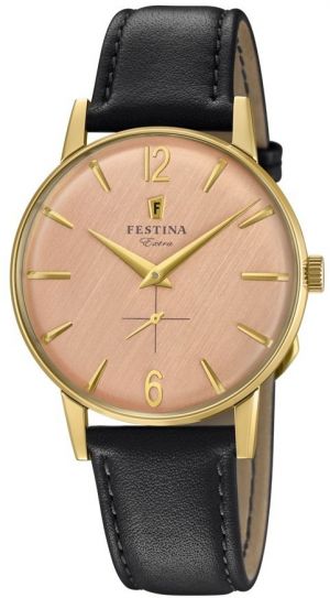 Pánske hodinky FESTINA 20249/3