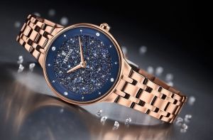 FESTINA 20384/3