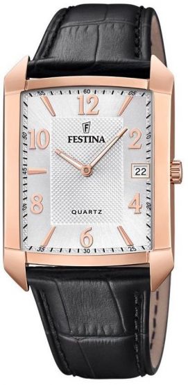 Pánske hodinky FESTINA 20465/1