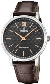 FESTINA 20660/6