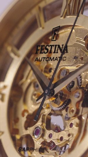 FESTINA 20667/1