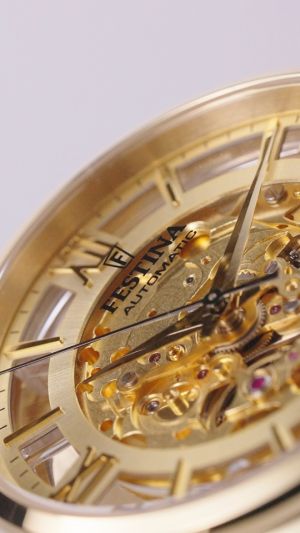FESTINA 20667/1