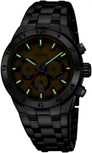 FESTINA 20670/4