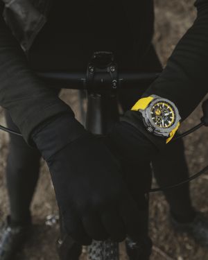 FESTINA 20725/1
