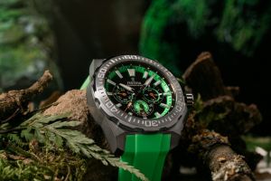 FESTINA 20725/3