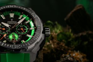 FESTINA 20725/3