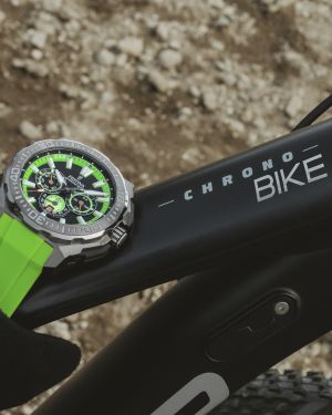 FESTINA 20725/3