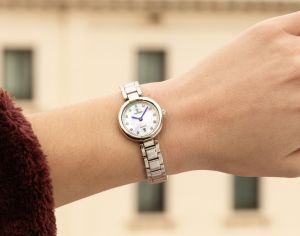 FESTINA 20784/1