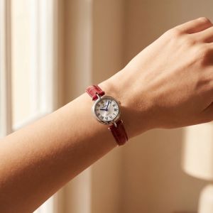 FESTINA 20787/1