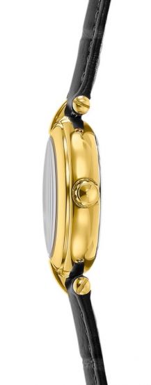 FESTINA 20788/1