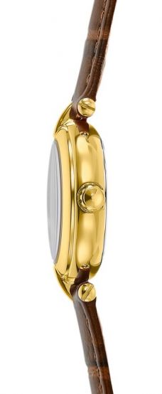 FESTINA 20788/2