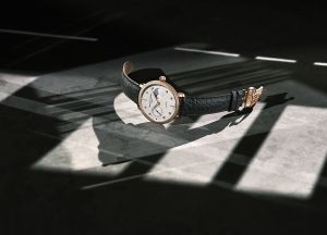 FREDERIQUE CONSTANT FC-702VD3SD4