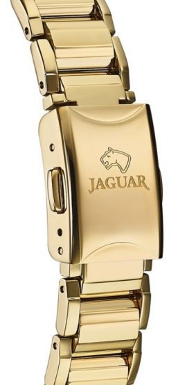 JAGUAR J818/1