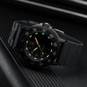 XS.3001.EVO.OR.S