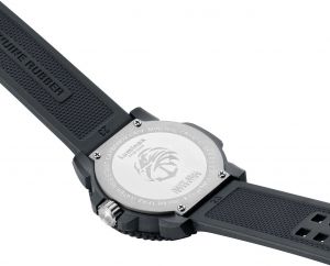 XS.3051.GO.NSF