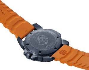 XS.3253.CBNSF.SET