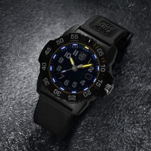 XS.3503.NSF