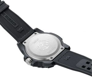 XS.3503.NSF